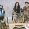 Ch Ark's Nowelle v Tripphill and Ch ScharoArk's Danger Zone-  Best of Breed and Select 