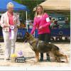 Ashley taking Logan back in for a reserve from the 6-9mo puppy class