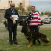 Ashley going Best Jr. Handler with Logan (Tripphill's ScahroArk DeJaVu) under Mr. Ken Tank